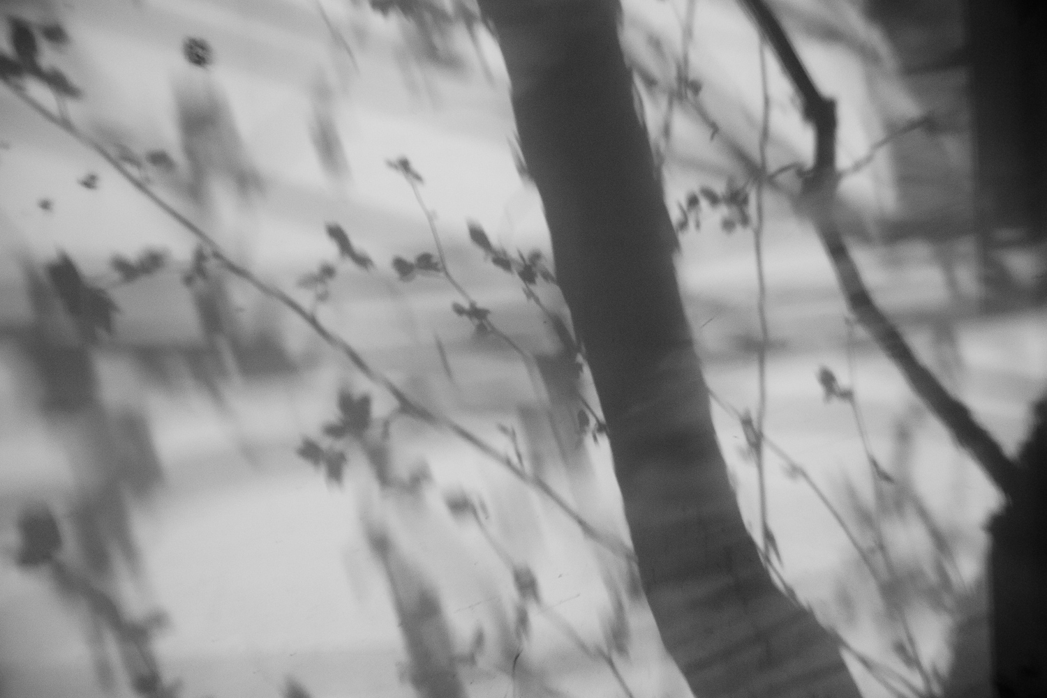 上海 2020 image 56